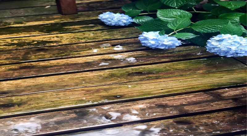 威客电竞·(中国)VKGAME官网入口