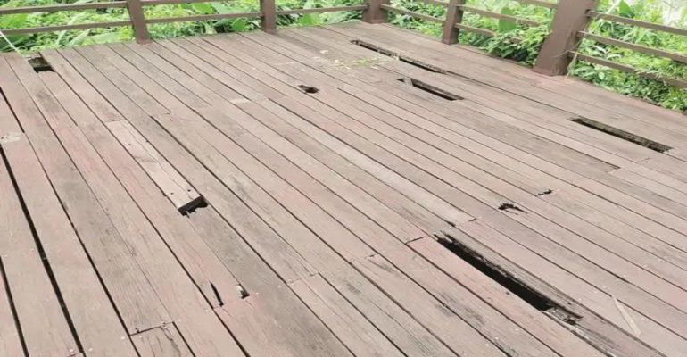 威客电竞·(中国)VKGAME官网入口