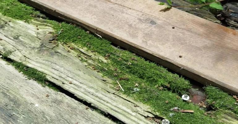 威客电竞·(中国)VKGAME官网入口